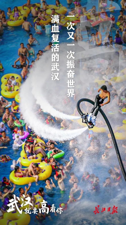 龙年归乡之旅，免费短剧赏析