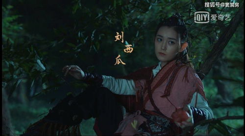 赘婿全集免费观看推荐，不容错过的短剧佳作