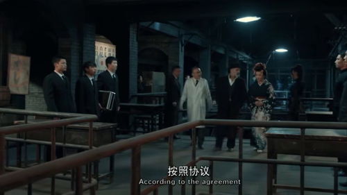 追击的皇后，免费观看的精彩短剧