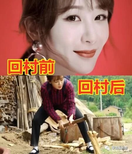 乱劈柴短剧全集免费观看，精彩不容错过