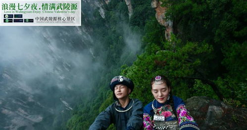 茶山故事，免费观看全集的魅力之旅短剧