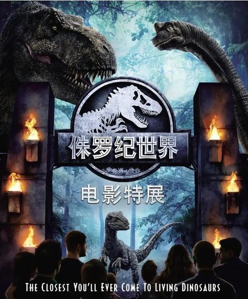 短剧阴阳天师，神秘世界的探索之旅免费全集观看