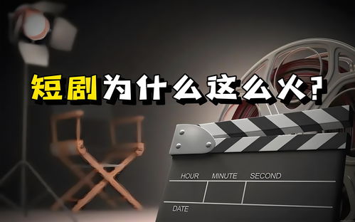 叶氏集团独家打造，免费短剧全新观影体验