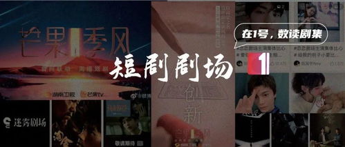 以牙还牙2，61集免费短剧精彩回顾