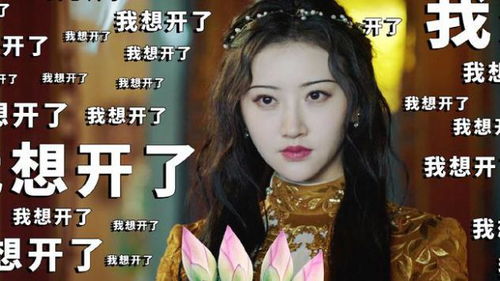 秦小姐短剧免费观看，探索现代娱乐新潮流的捷径
