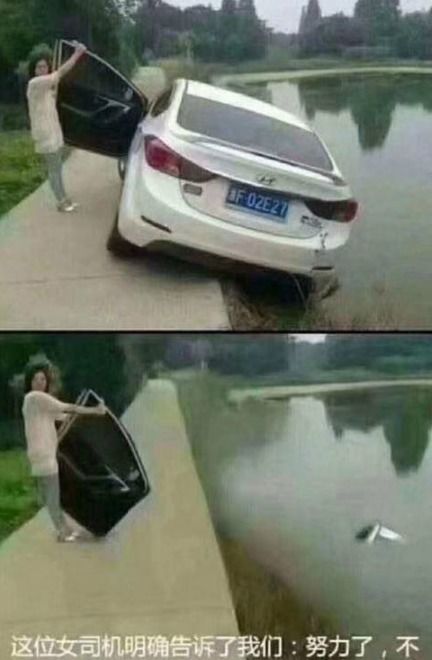 小白老游，免费短剧观看的快乐探索之旅