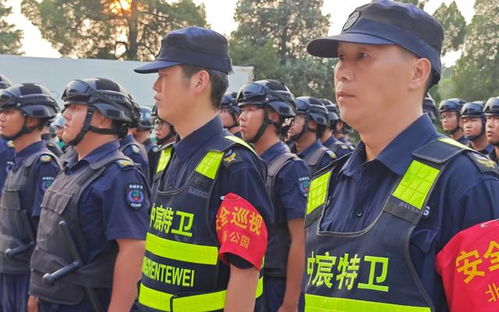 免费畅享，小保安的灿烂短剧世界
