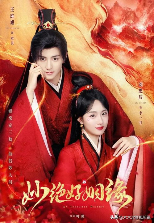 免费观看，王妃生产传奇短剧，宫廷传奇诞生的瞬间