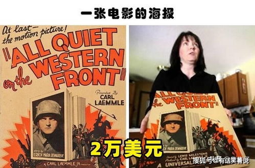 追星之路，免费短剧观看的乐趣