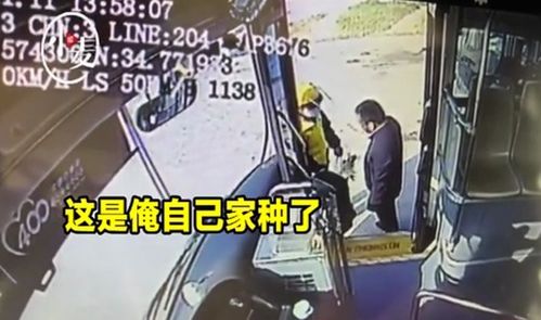外卖小哥的背后故事与老婆甜蜜日常，免费短剧观看指南