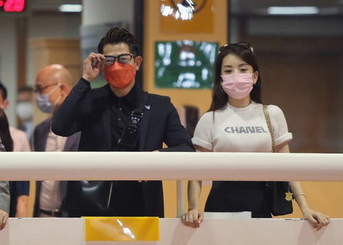 村长夫人，乡村故事小短剧免费观看