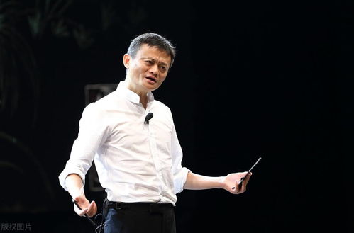 免费观影，大富豪少帅的视觉盛宴深度解析