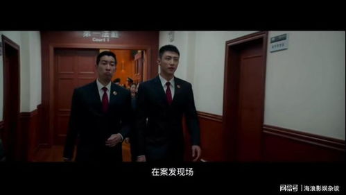 免费观看鉴宝神童，一部引人入胜的短剧鉴赏