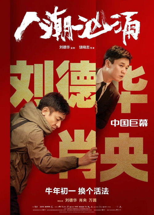 情感与财富的交织之旅，富豪报恩短剧免费观看