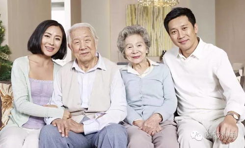 女婿短剧，家庭情感与网络热潮的完美融合高清全集免费观看