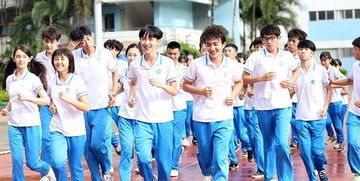 再度重逢，免费短剧的温馨观影体验