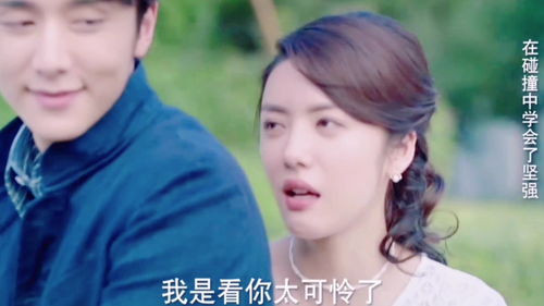 免费观看治愈日剧短剧，心灵得到疗愈的瞬间