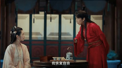 赘婿出山，国语版免费观看