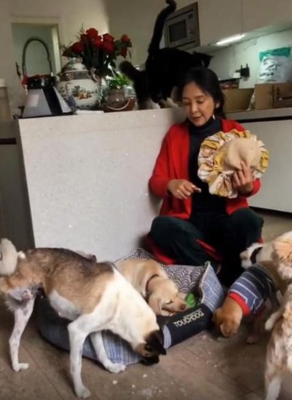 婆婆的狗窝生活，免费观看短剧