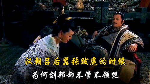 免费观看，嚣张跋扈短剧的精彩世界