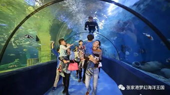 免费观看，海王科普短剧，探索海洋的奥秘