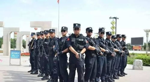 免费观看高清，警察系列短剧，探索警务工作的精彩世界