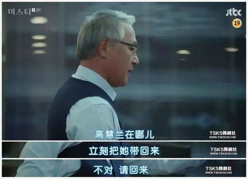 贤智韩国短剧，免费观看的魅力与深度解析