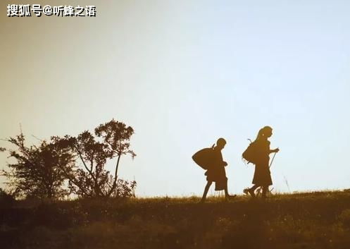 父女争吵，一部引人深思的短剧免费观看高清