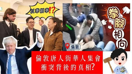 免费观看全集短剧，争执冲突背后的真相