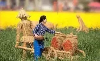 田园小王妃，乡村魅力之旅