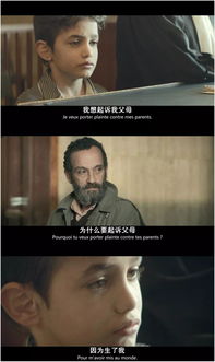 母亲之复仇，感人至深的短剧