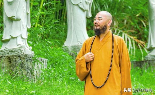免费观看，和尚剧情短剧全集，禅意人生尽收眼底