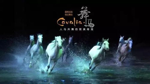 免费观看，凶神恶煞短剧的精彩世界