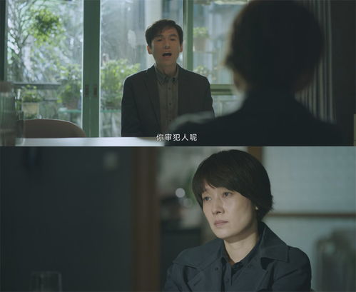 被迫出嫁，错综复杂的婚姻迷局悬疑短剧免费观看