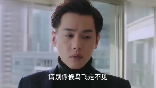 总裁装傻，笑中带泪的智慧演绎