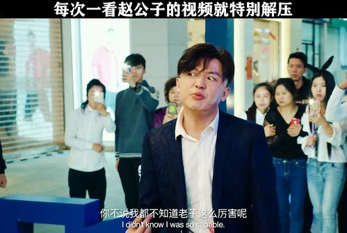 赵公子电视短剧，免费观看的精彩世界之旅