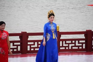 免费观看高清，龙凤家族短剧，精彩不容错过