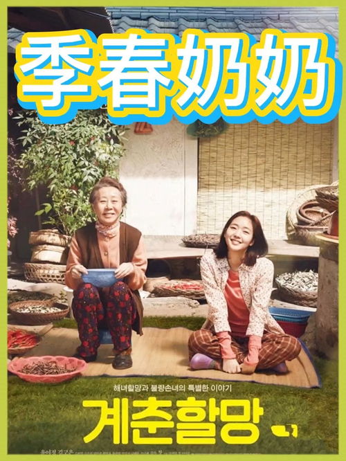 催泪短剧奶奶的温暖与陪伴——在线免费观看
