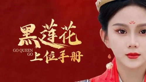 龙帅赘婿，免费短剧观看指南
