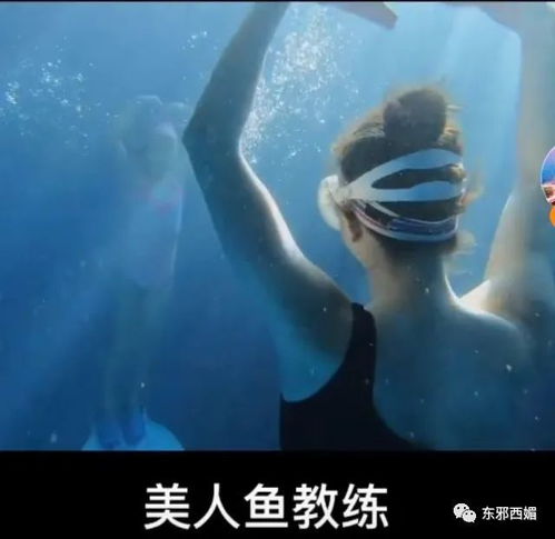 泰国海王短剧，免费观看全集的精彩故事
