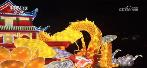 龙婿，免费观看的视觉盛宴深度解析