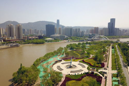 母亲的情感之旅，一部感人至深的免费观影体验