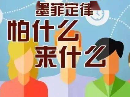 金兔情感短剧，免费观看，触动心灵的绝佳选择