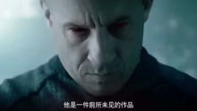夫人归来，复仇之路免费观看