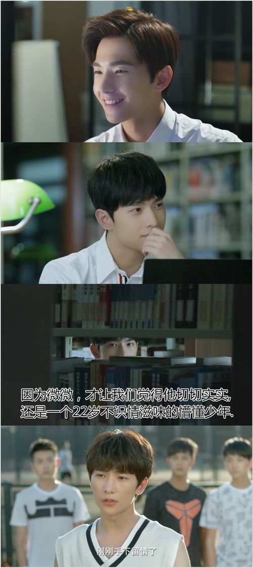 现代情感探索，速食爱情短剧免费观看