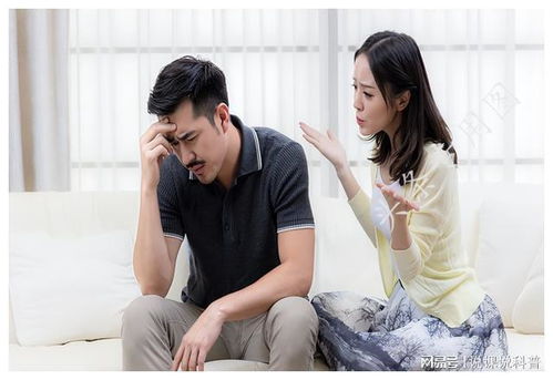 丈夫的前妻，情感纠葛的深度剖析