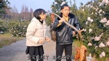 乡村兄弟情，免费短剧观赏之旅