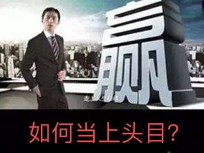 巅峰人生，免费网络短剧，精彩故事尽在其中