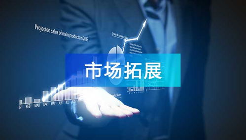 神医传承，医道收徒之旅