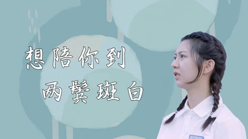 免费观看短剧全集的精彩世界，清醒人生的选择